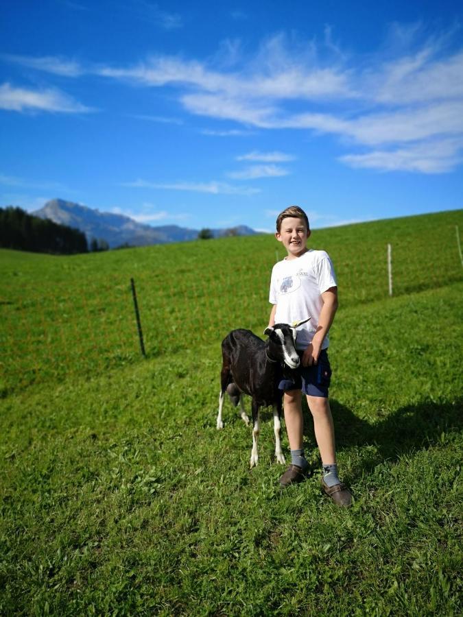 Appartamento Hochmuthhof Reith im Alpbachtal Esterno foto